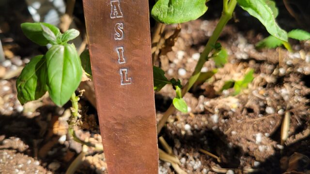 Craft After Hours: Making Plant Markers